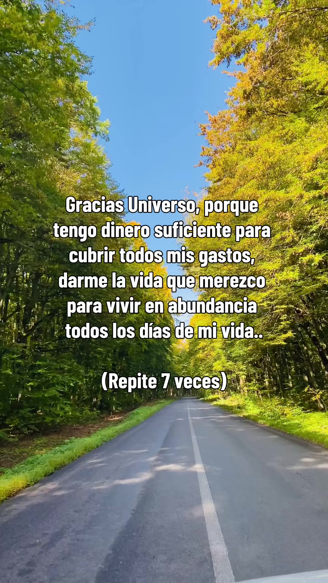 @Paragustosloscolores00