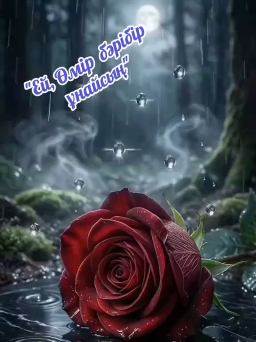 @Зулхумар Курбанбекова⭐️⭐️🔥
