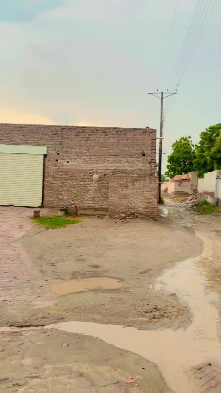 @꧁𓊈𒆜 کانجو محکمہ 𒆜𓊉꧂