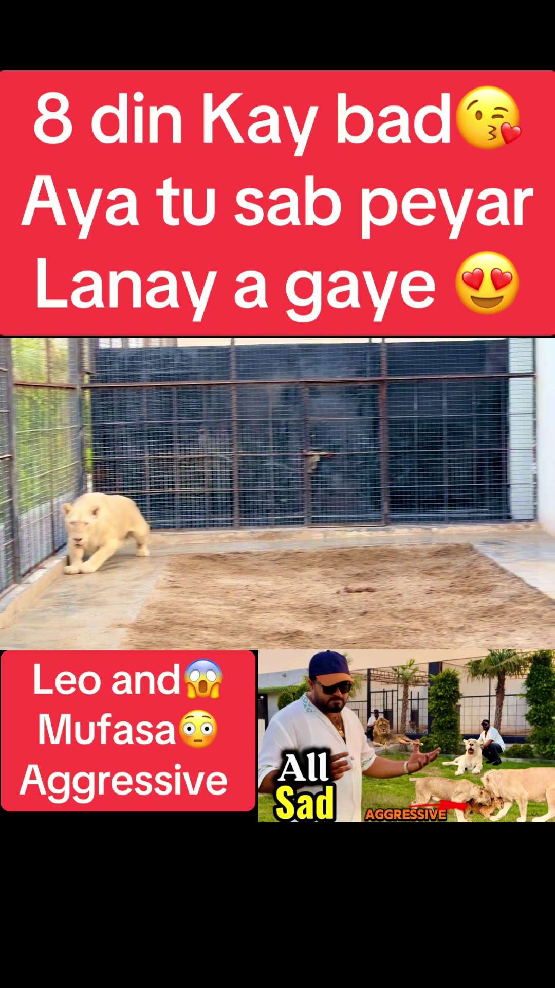 @Mian saqib