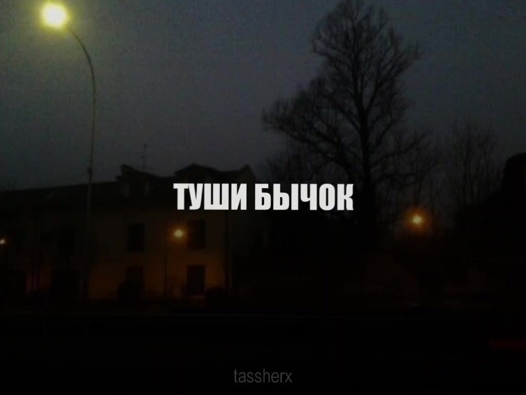 @Tasher
