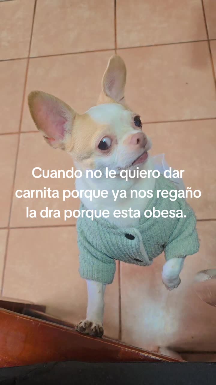 @Mellamoalacran