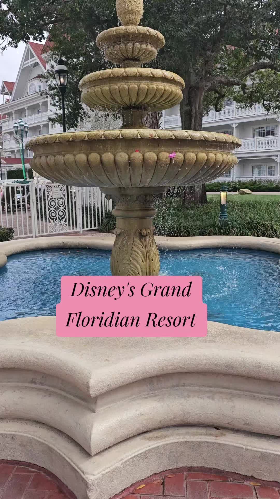 @SHEENA~TRAVEL PLANNER 🏰🌎🛳✨️