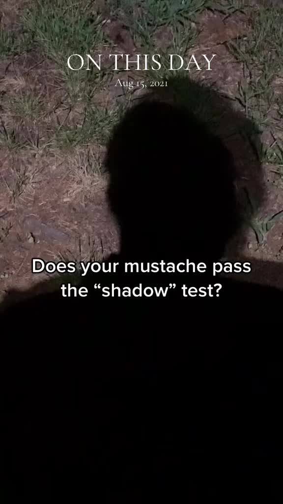 @Bobandelliothismustache