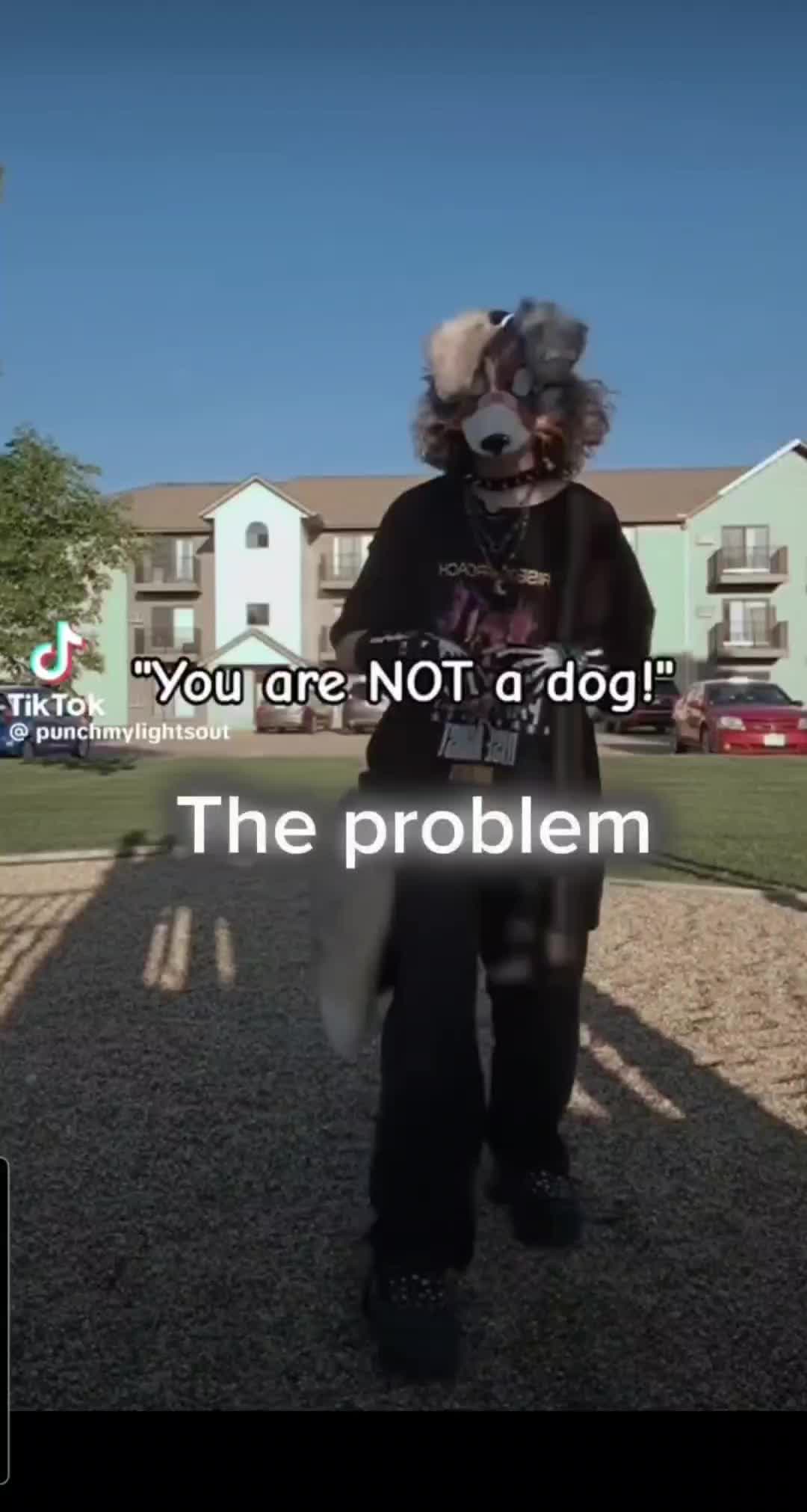 @ohdatscolt