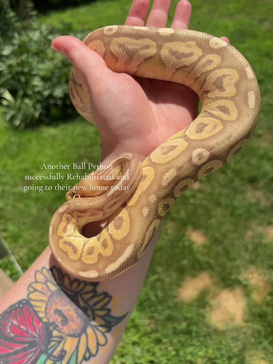 @kaciandherballs