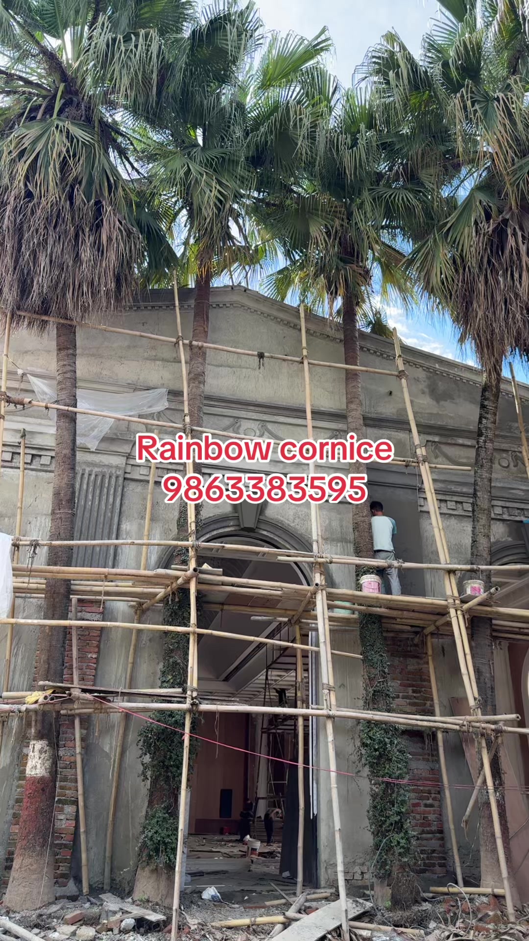 @Rainbow carnes (cornice)