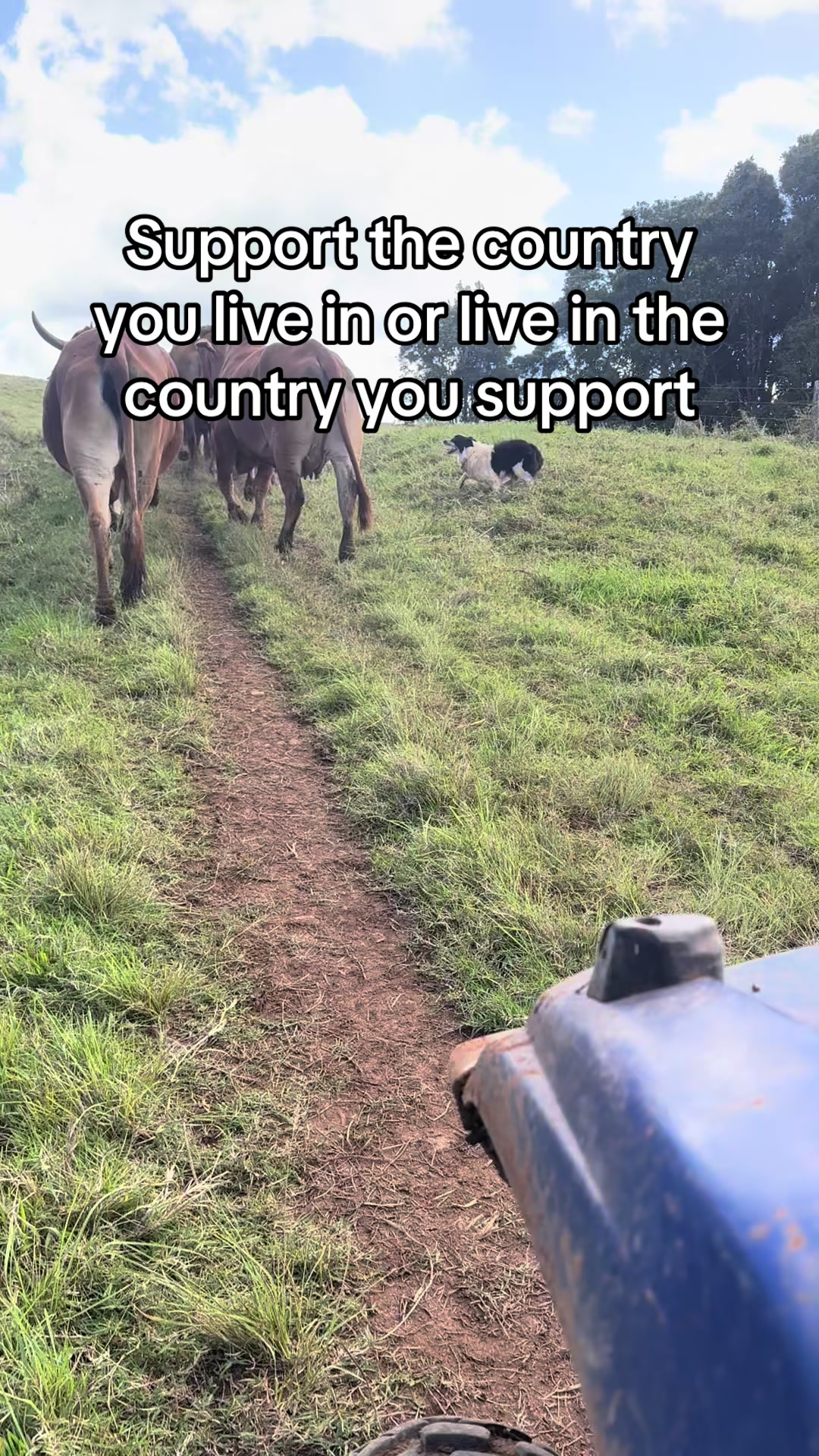 @🇦🇺AngloAussie🇬🇧