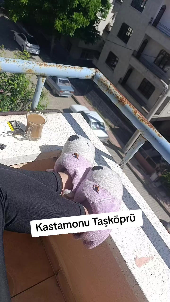 @papatya 🌼