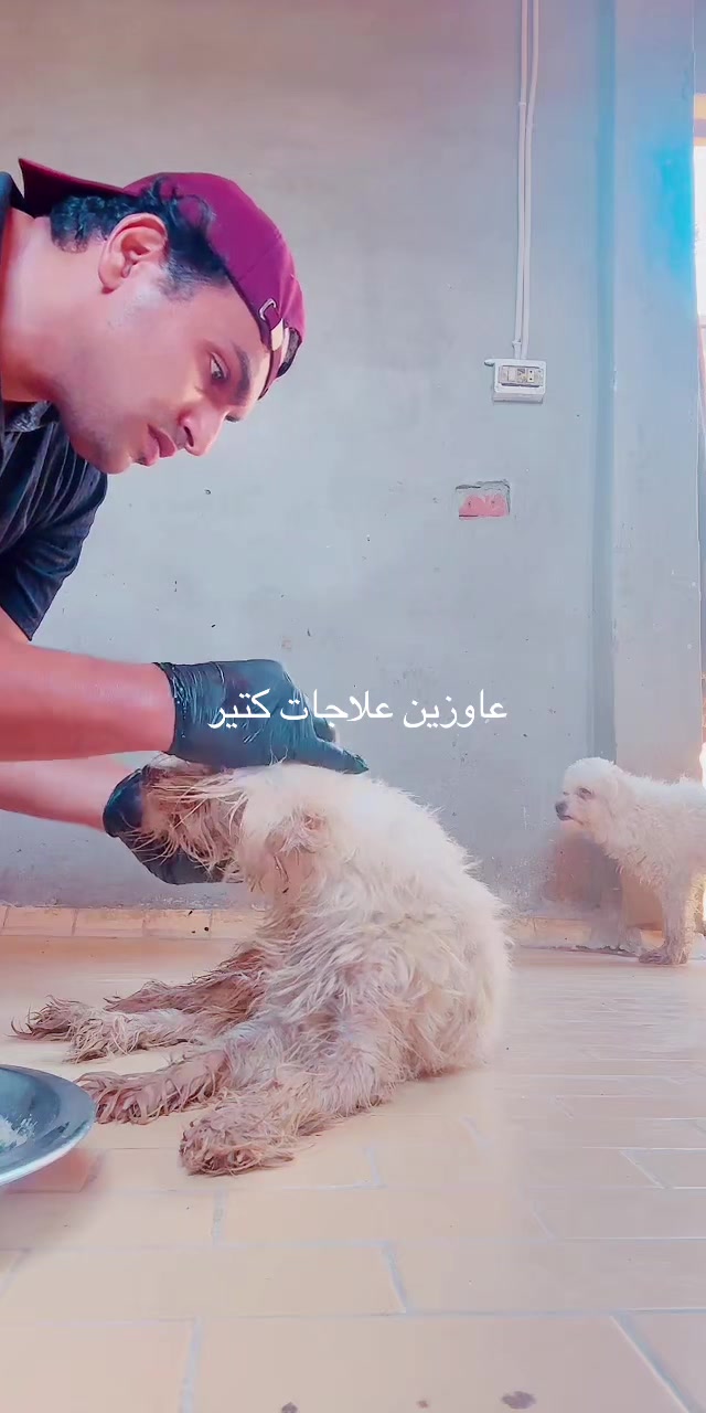@mohammed and his cats😺