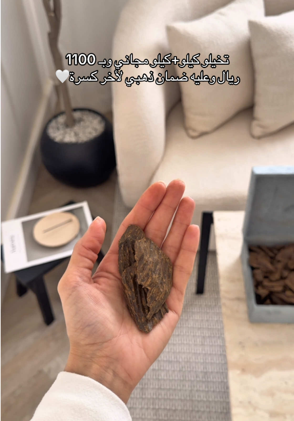 @نُون دايز | الرياض 🦌