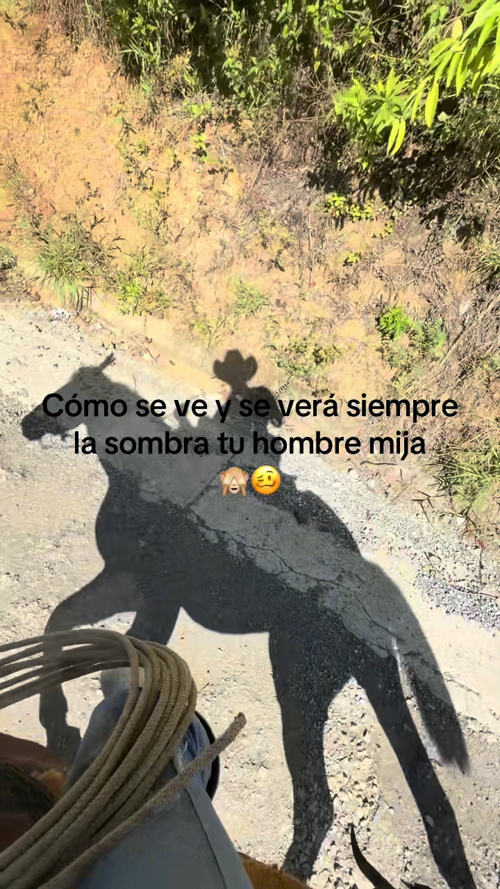 @Bandido De Amores 🥴