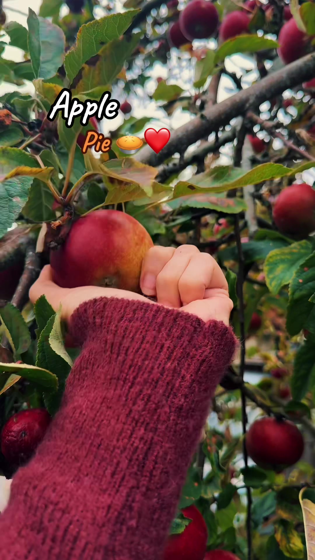 @Mila 🌻