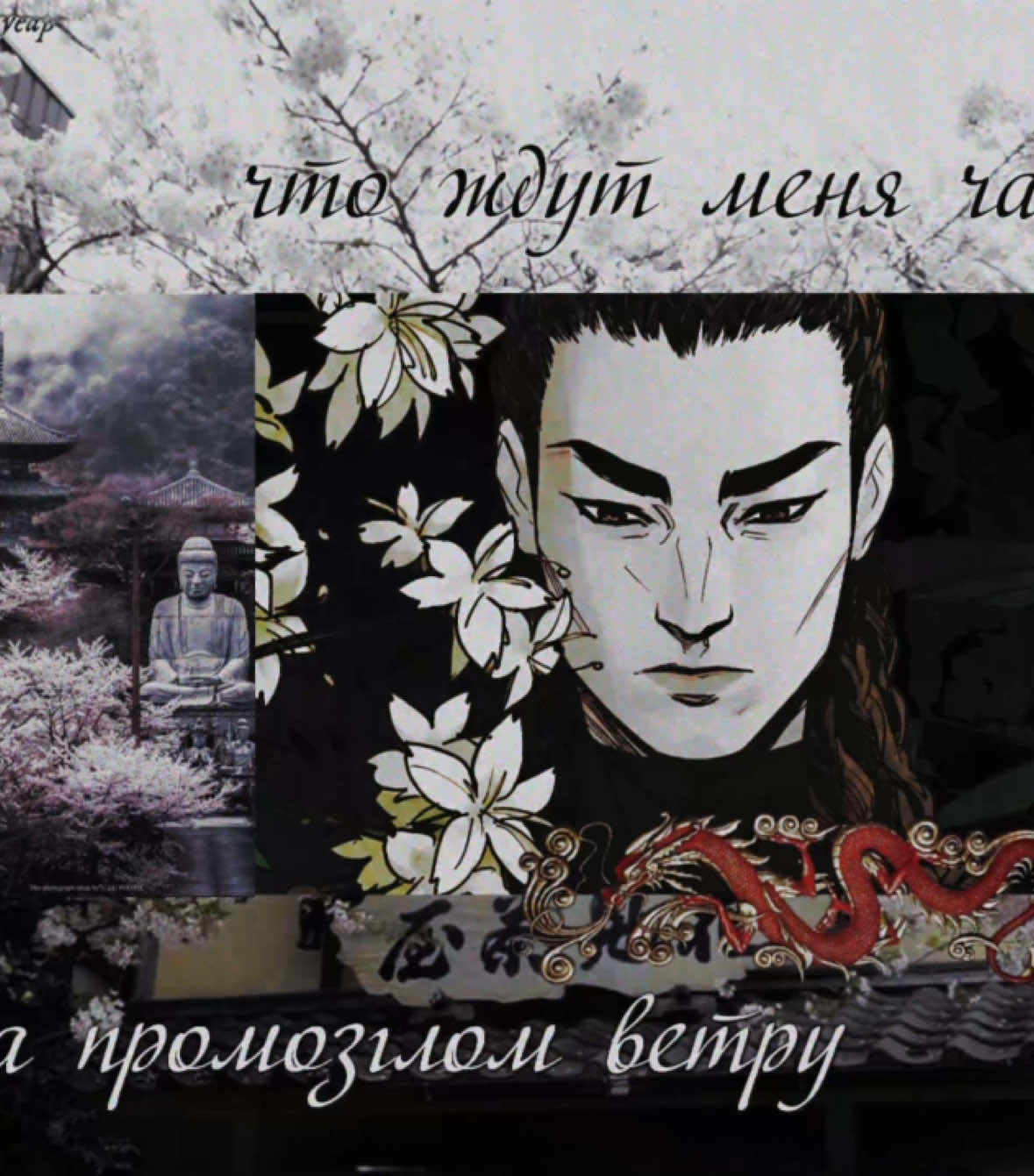 @ка́тра /•᷅•᷄\੭