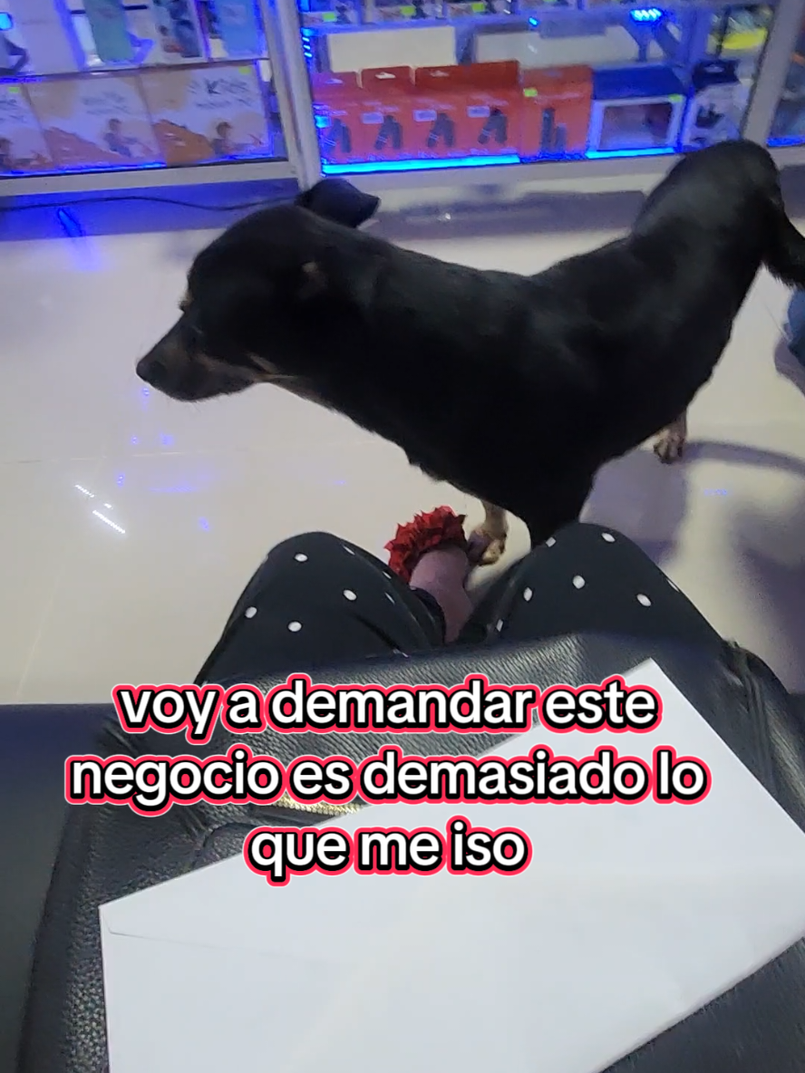 @Gaby axsume2