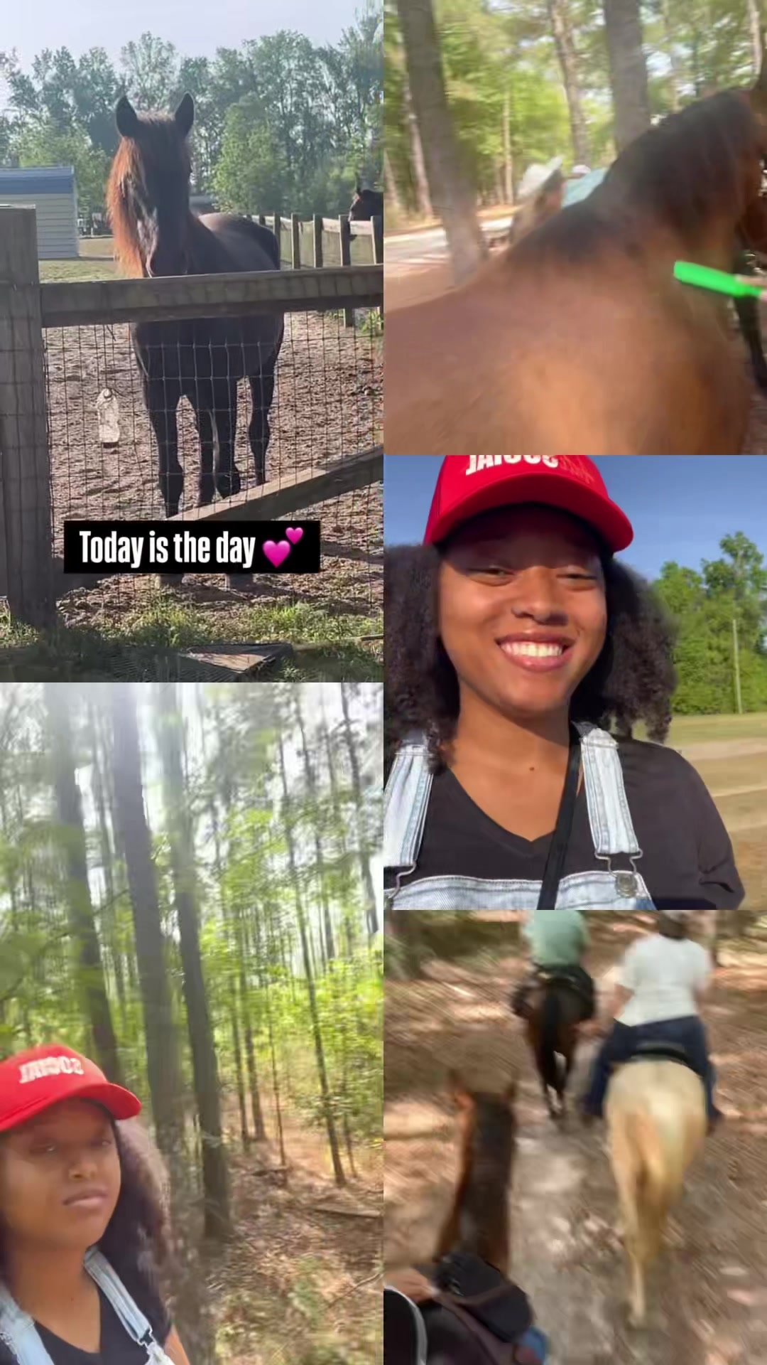 @theNYElife🌱