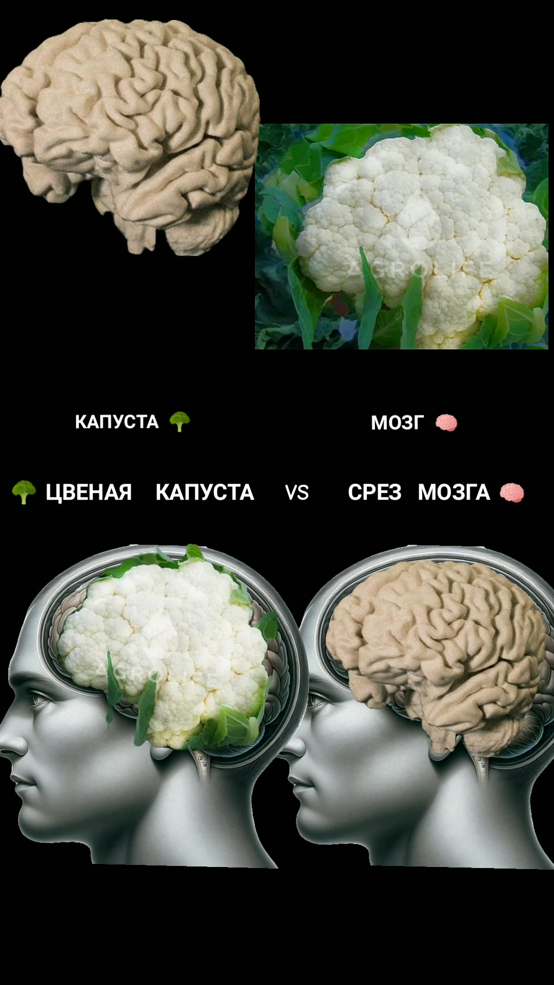 @ОЛЬГА ВЕЛЖИЧ