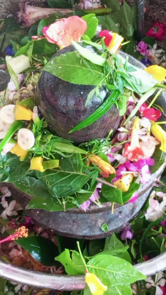 @Shiv🙏 bhakta 🙏santoshi❤️❤️🙏