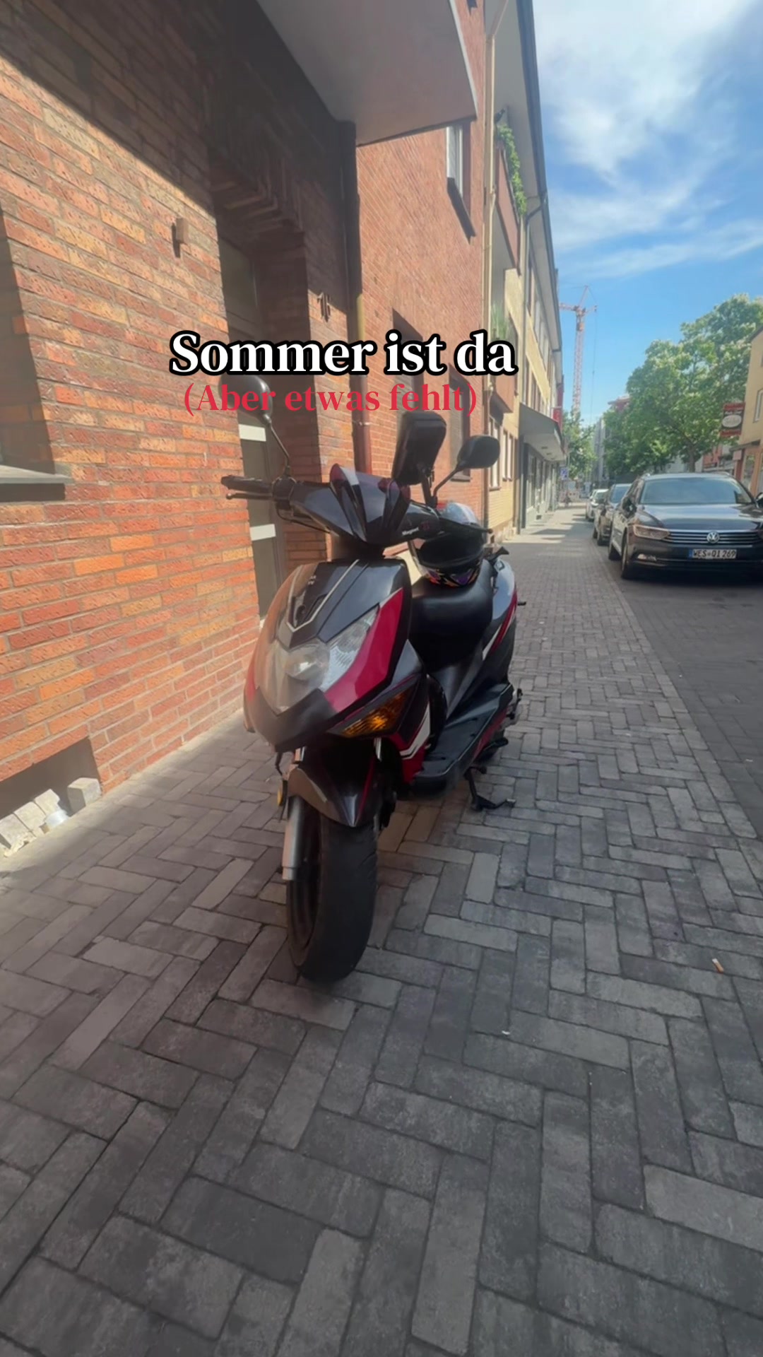 @🐺🇦🇱