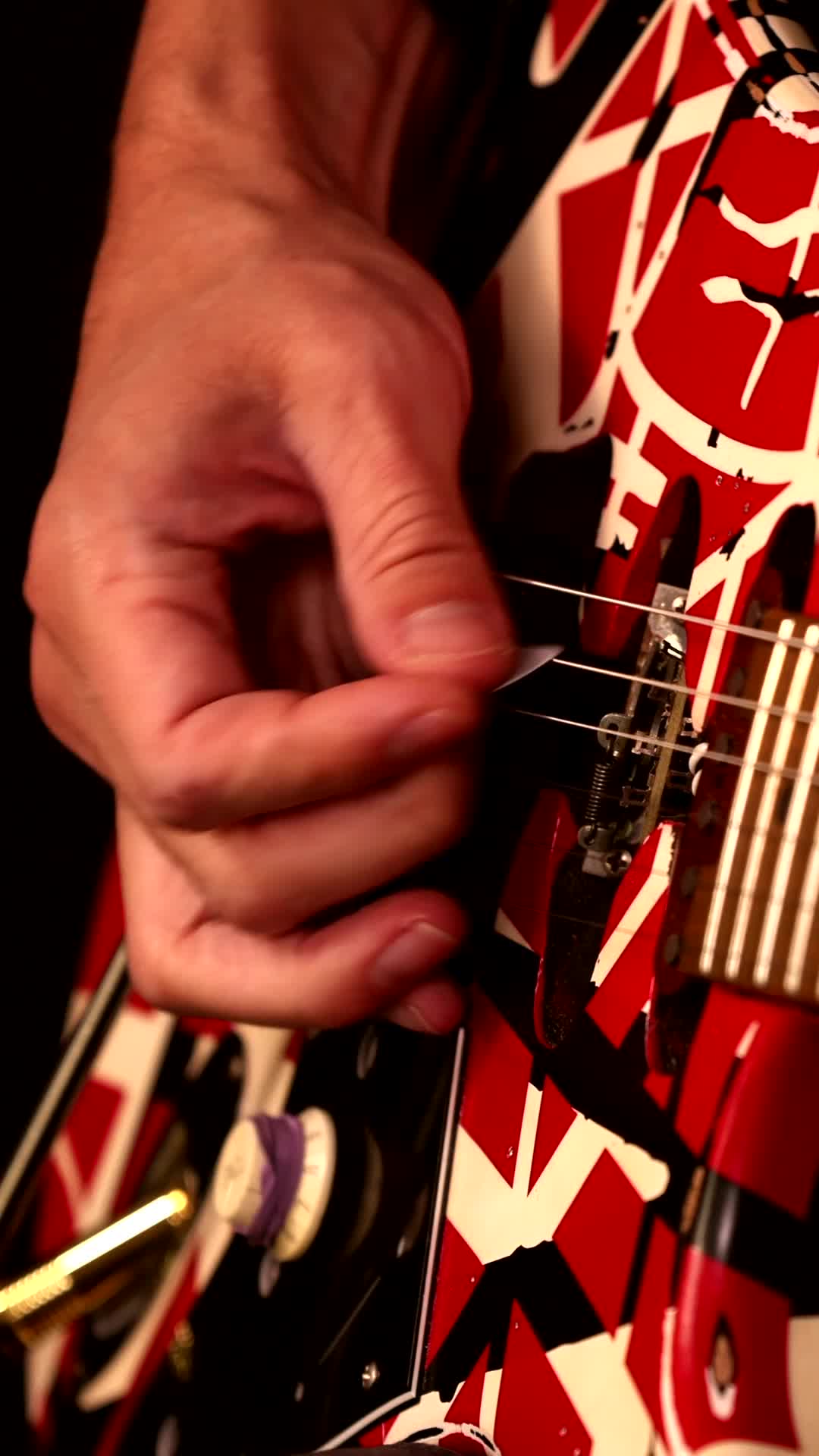 @TomShreds