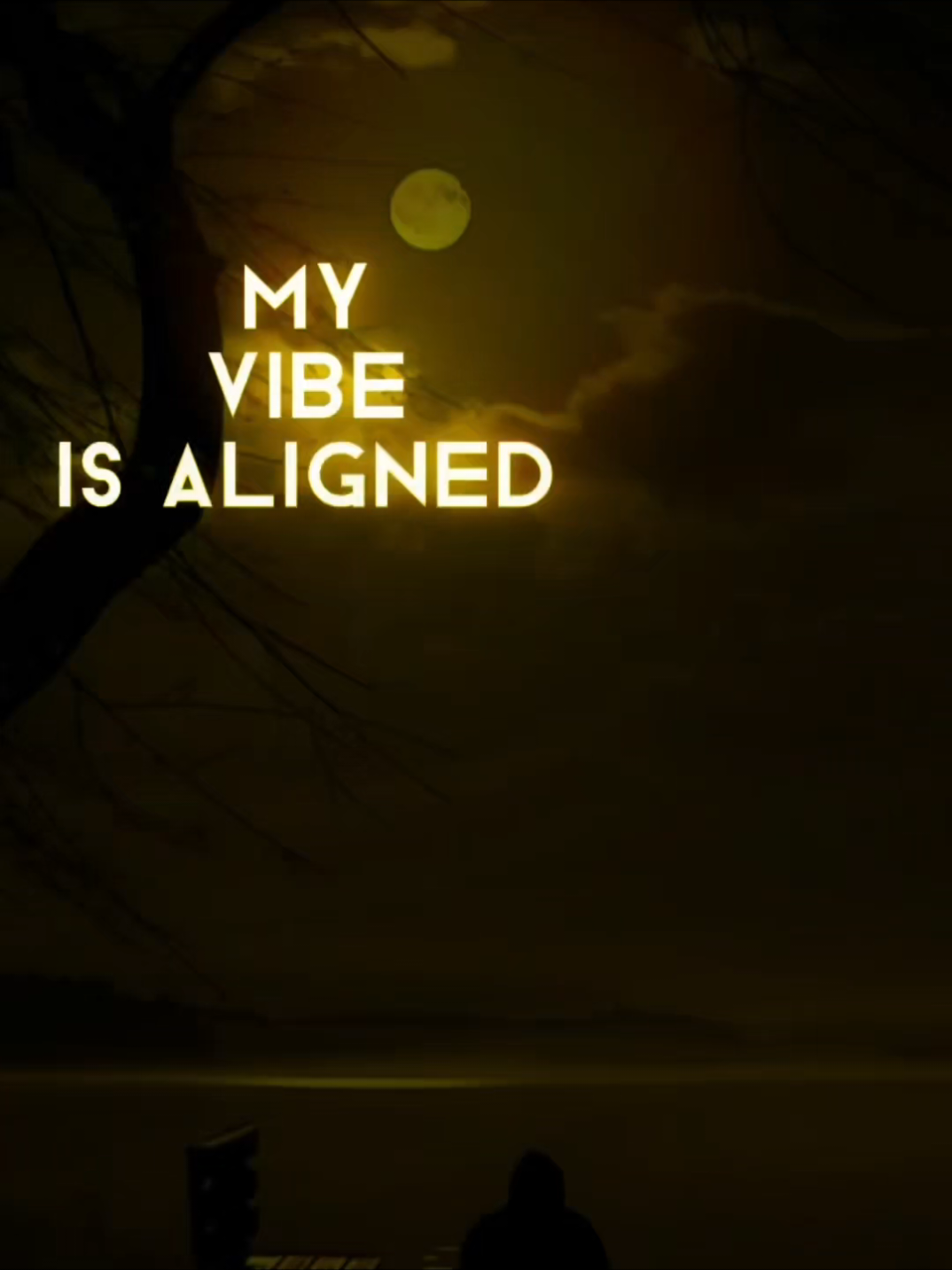 @See Zee