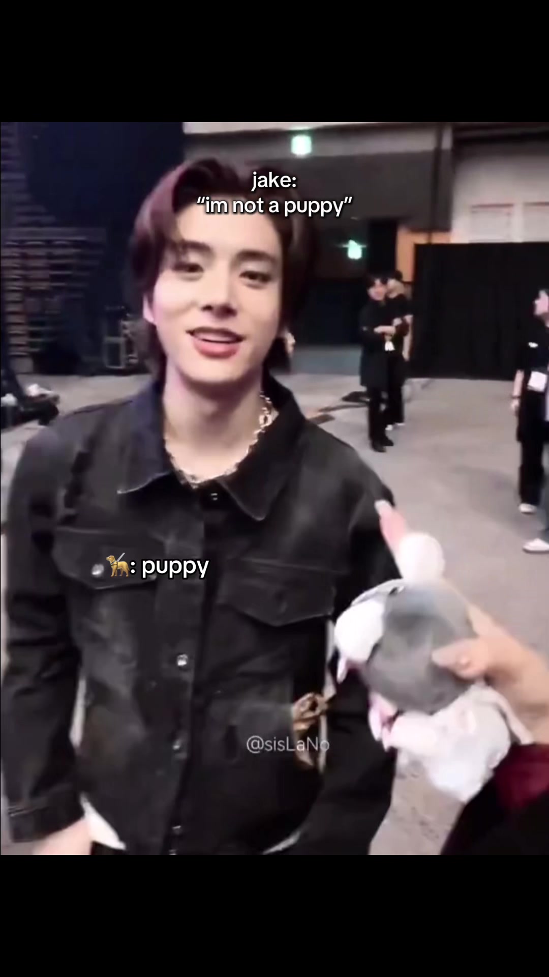 @ﾒ૦ 🐈