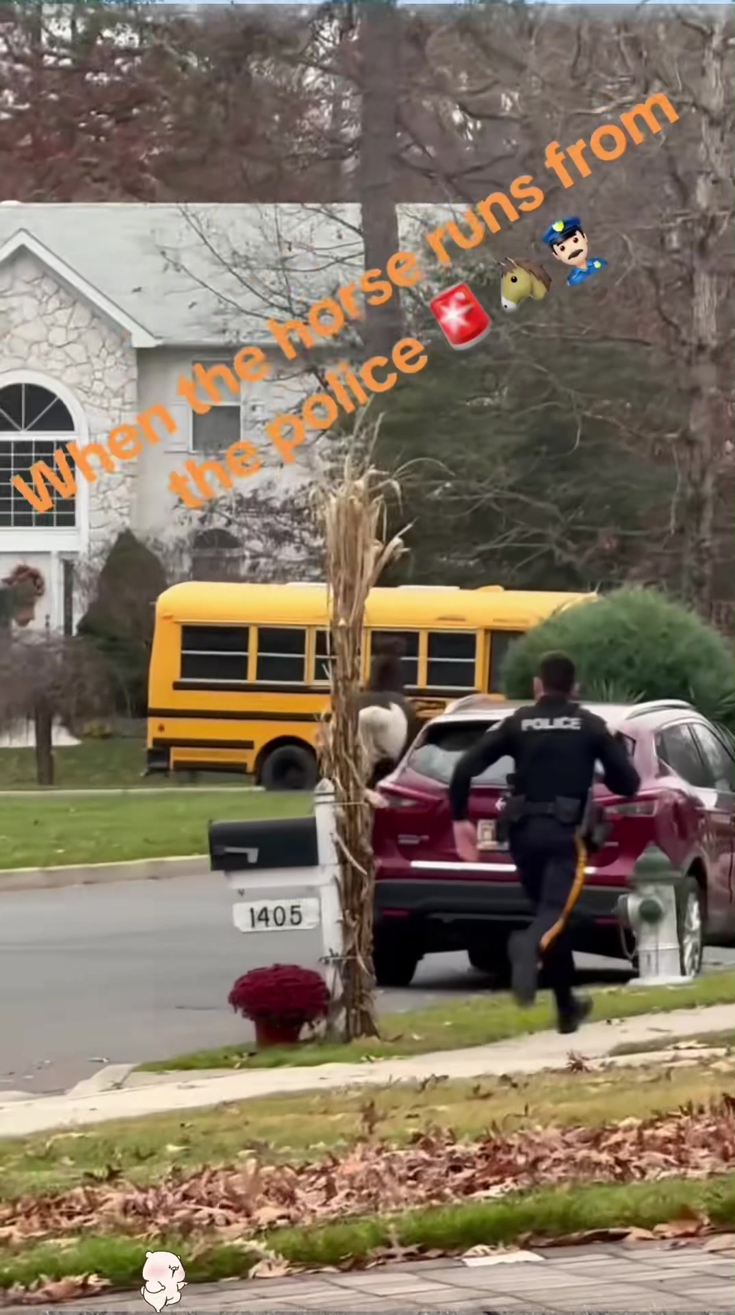 @SneakyFails