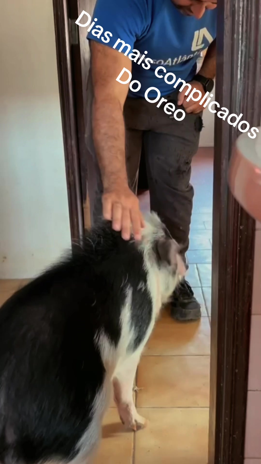 @Pepa.Oreo.Cookie