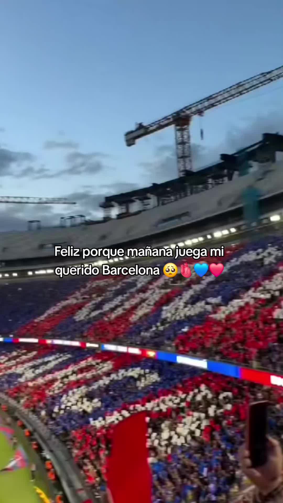 @Nely_💙❤️