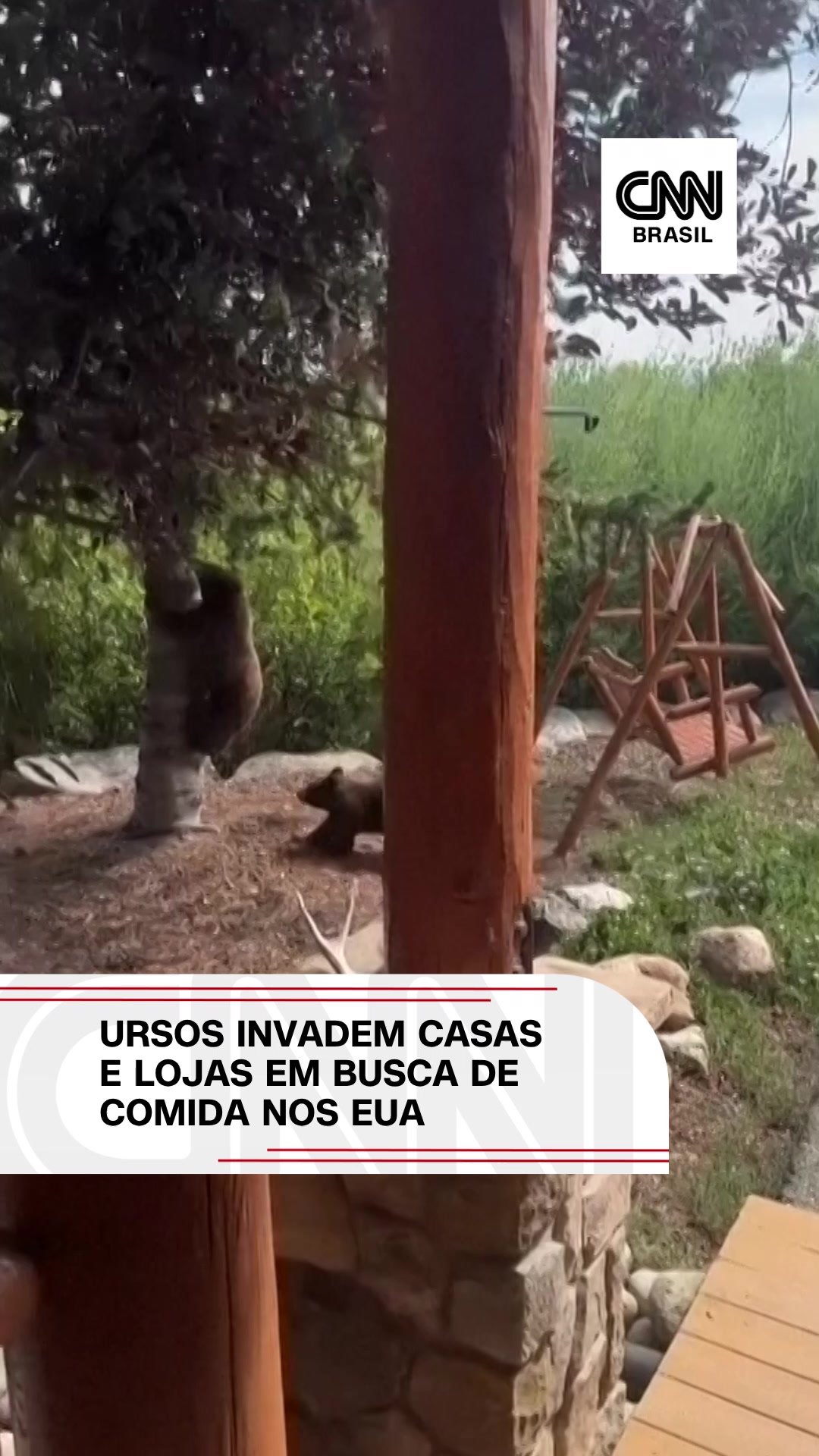 @CNN Brasil
