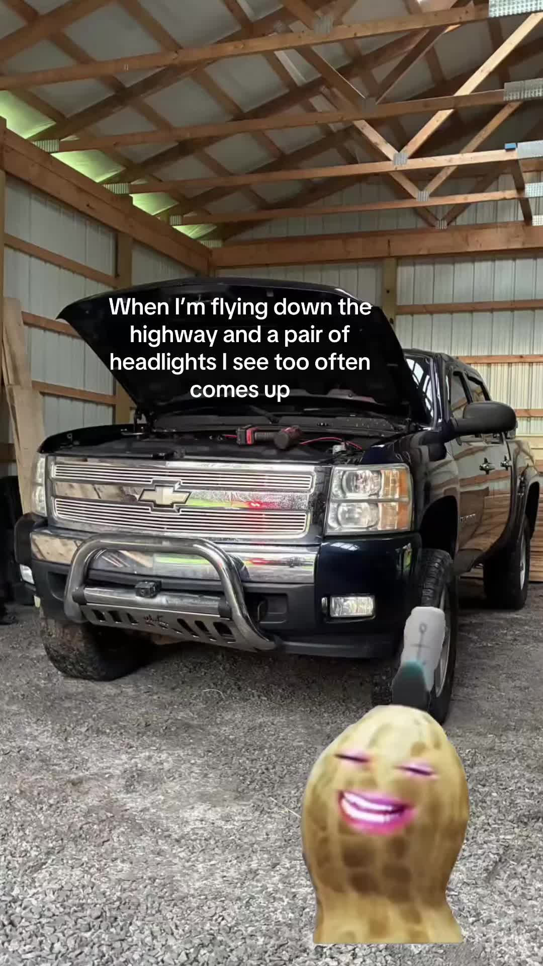 @Livy5.3