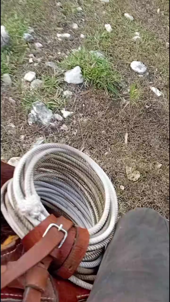 @vaquero 🤠 Lopez