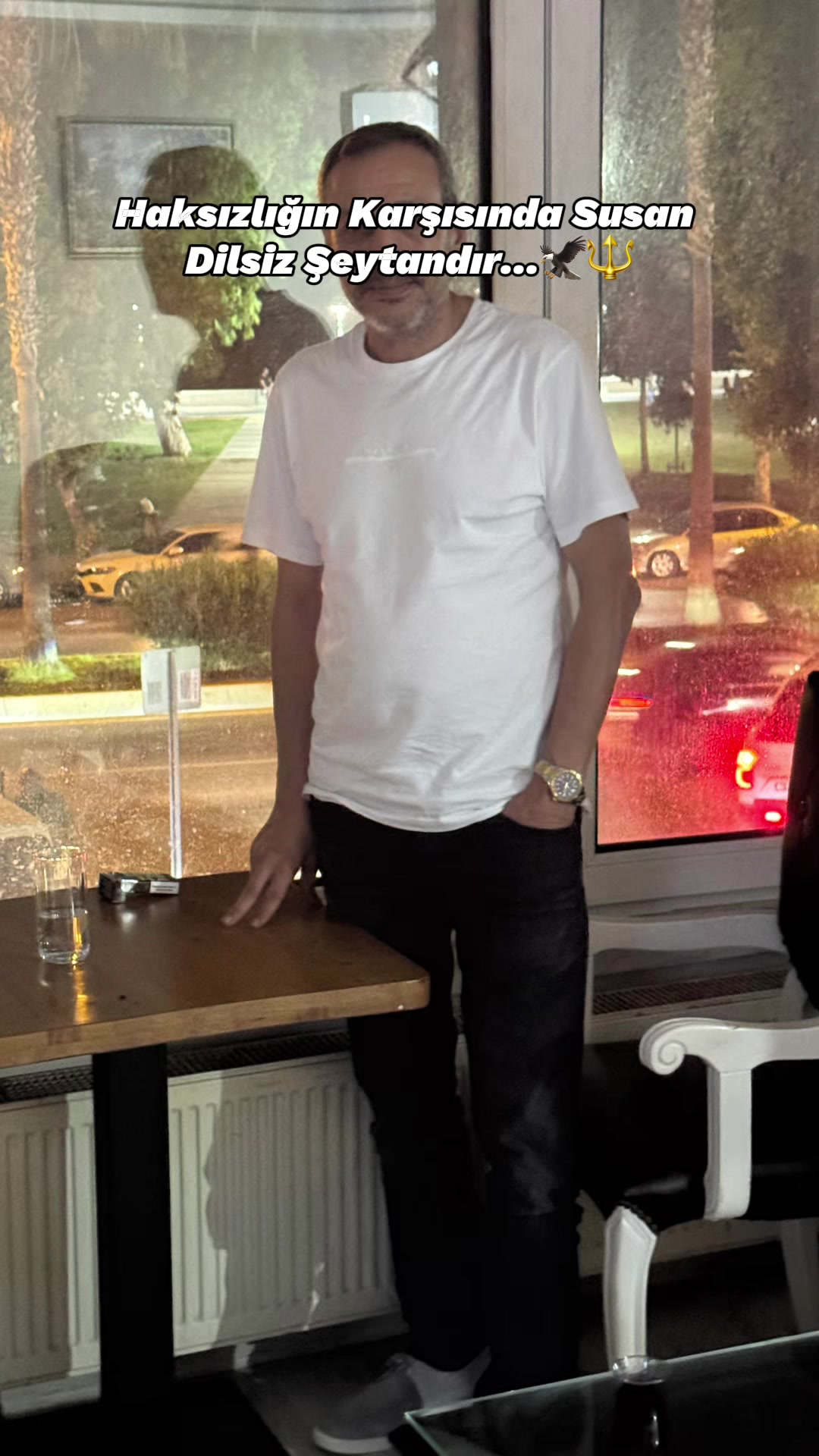 @Feridun Tekinalp