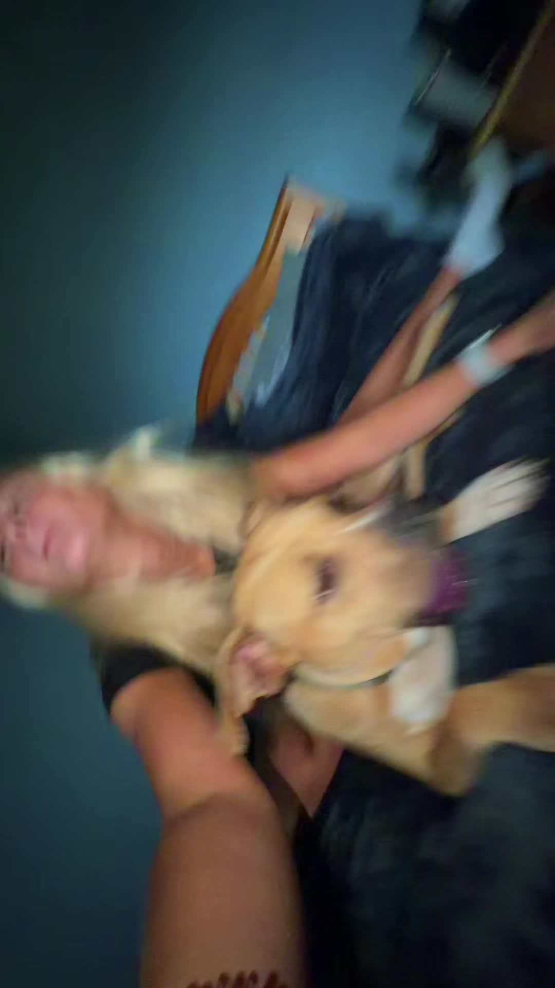 @Reagan_h