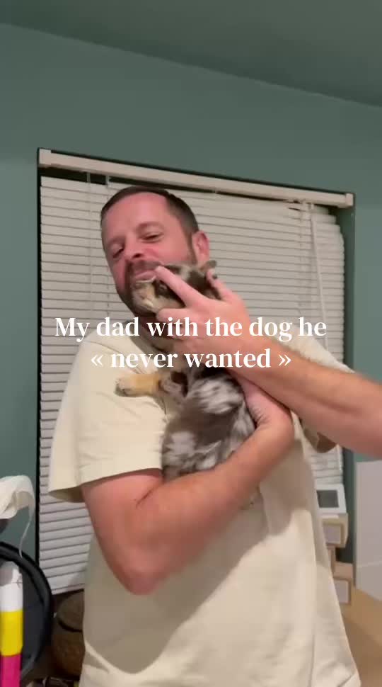 @𝐄𝐥𝐢𝐞
