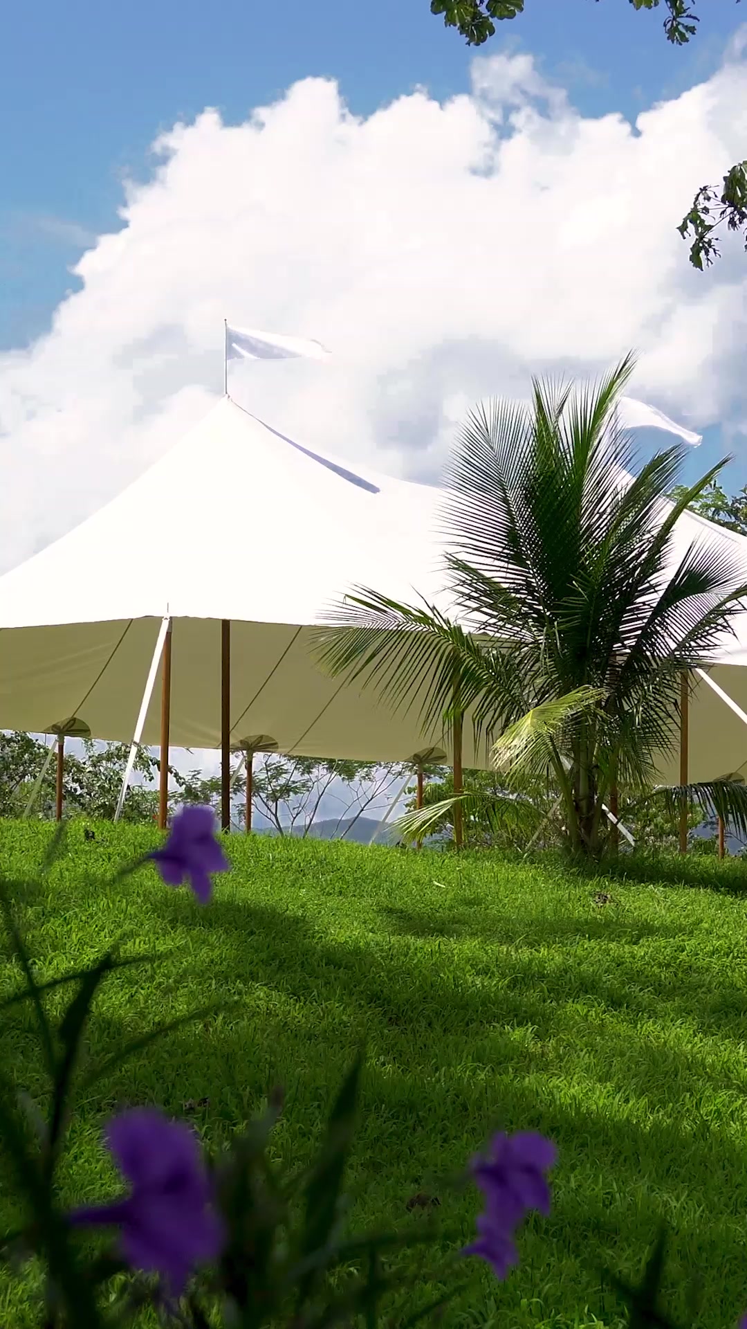 @The Belize Collection