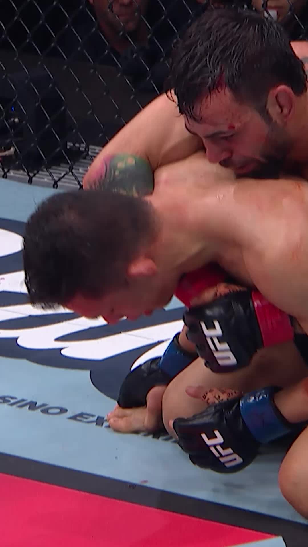 @UFC Brasil