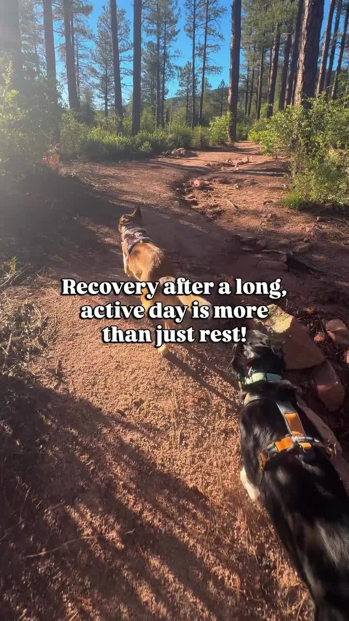@Marissa | K9 Fitness Coach 🐾