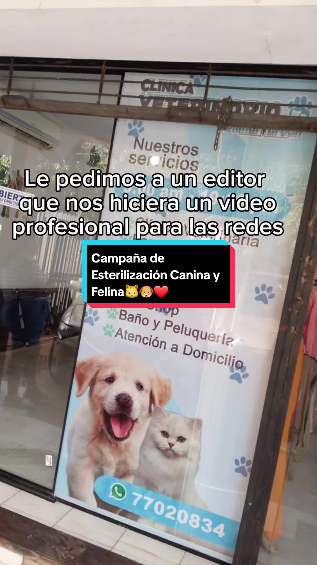 @Cl&iacute;nica Vet Animal Urban