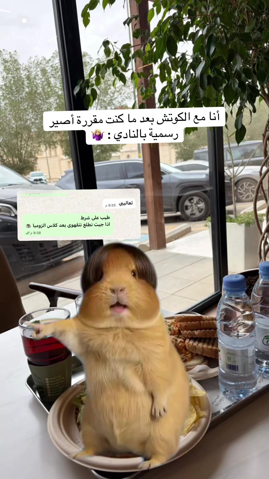 @ريم الرائعة جدًا 💎..
