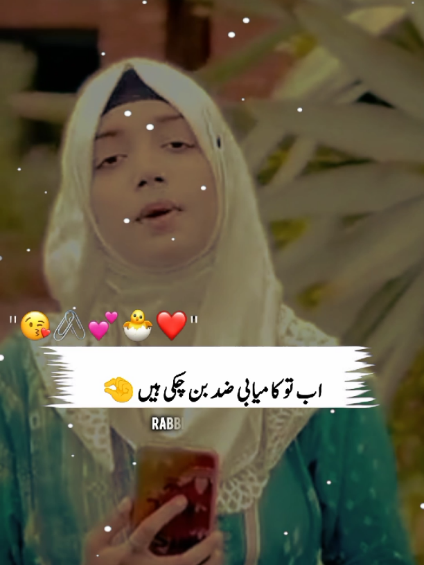 @Rabbi Shah official