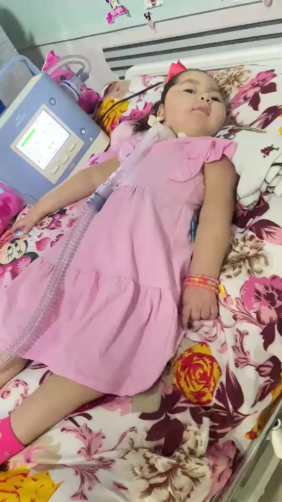 @MARIA J&Uacute;LIA OFICIAL🙏🧬💜