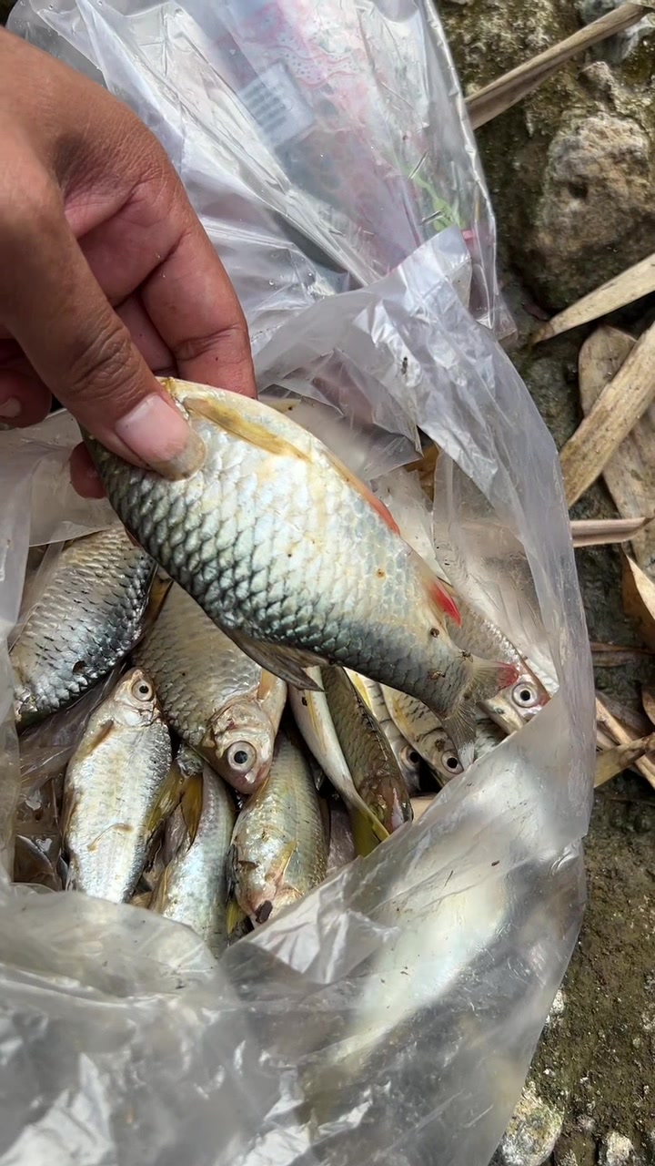 @unclemancing