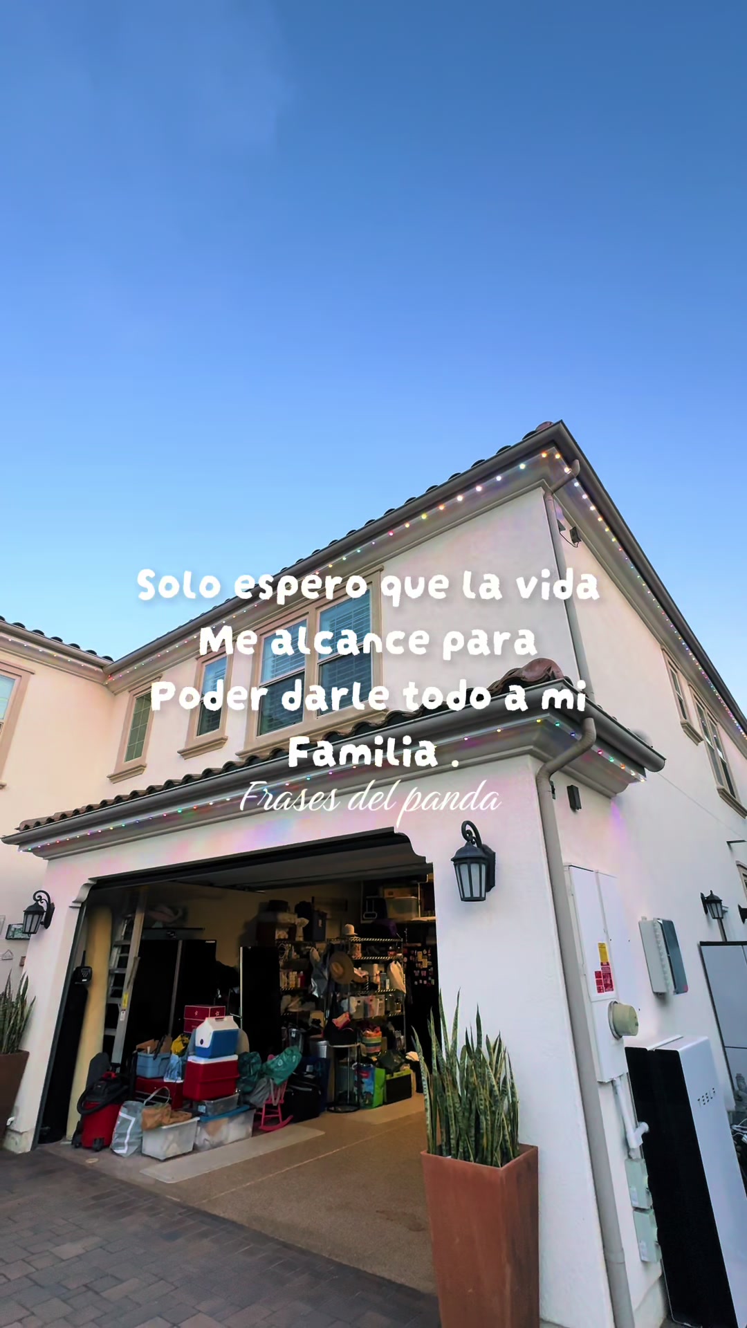 @frases del panda 🥷🏽