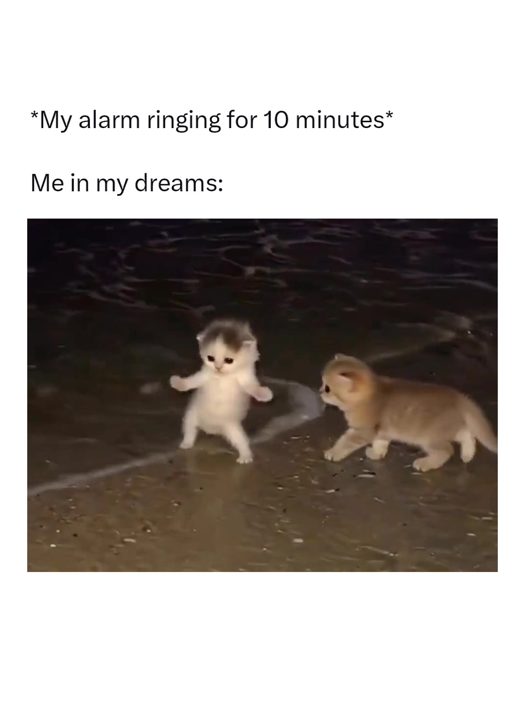 @Memezar