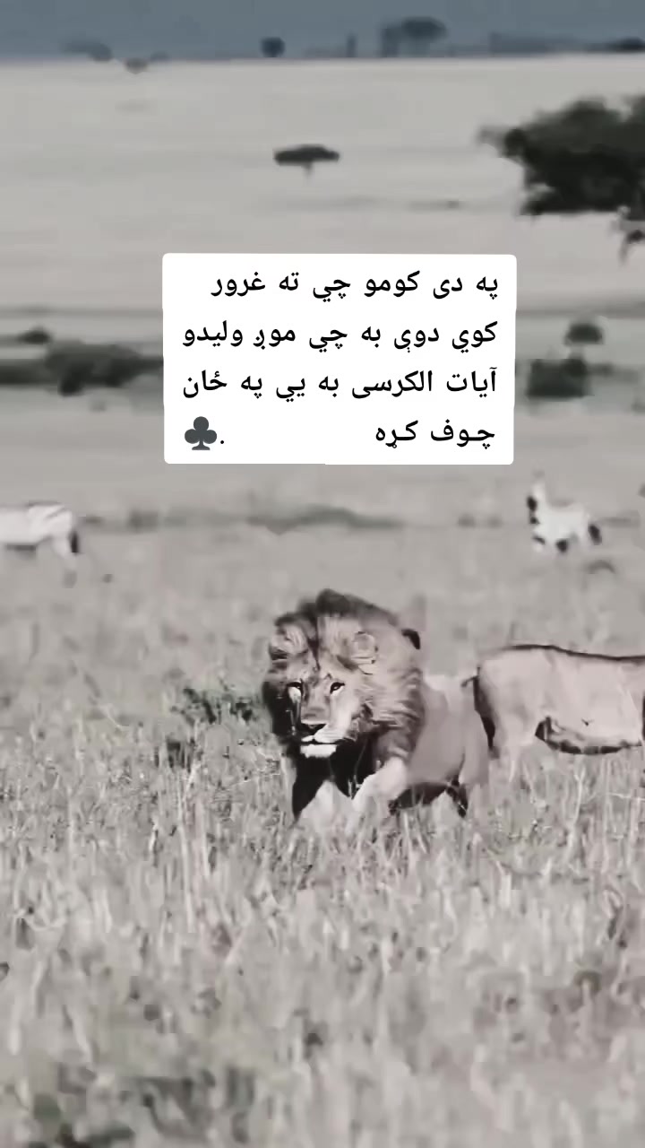 @ཀོ لـیــونـͫــͣــͥوو ཀོ