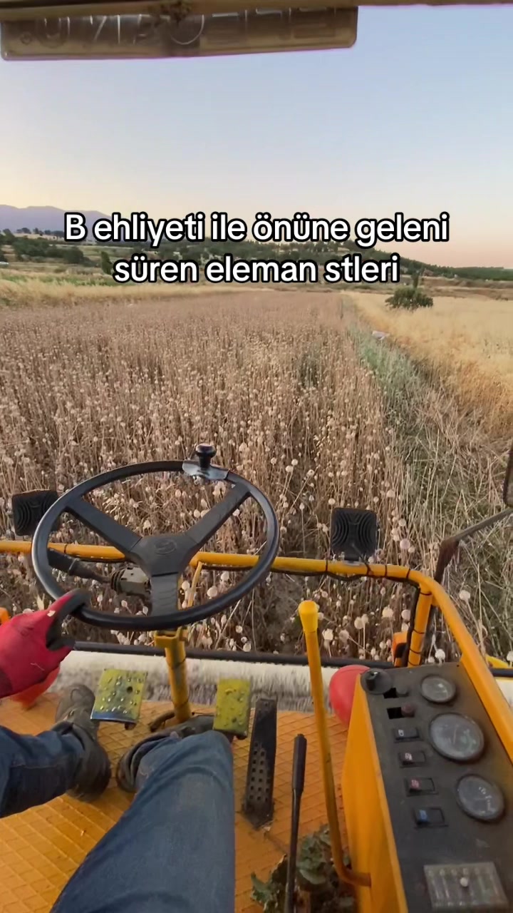 @EfecanÖzdoğan_43