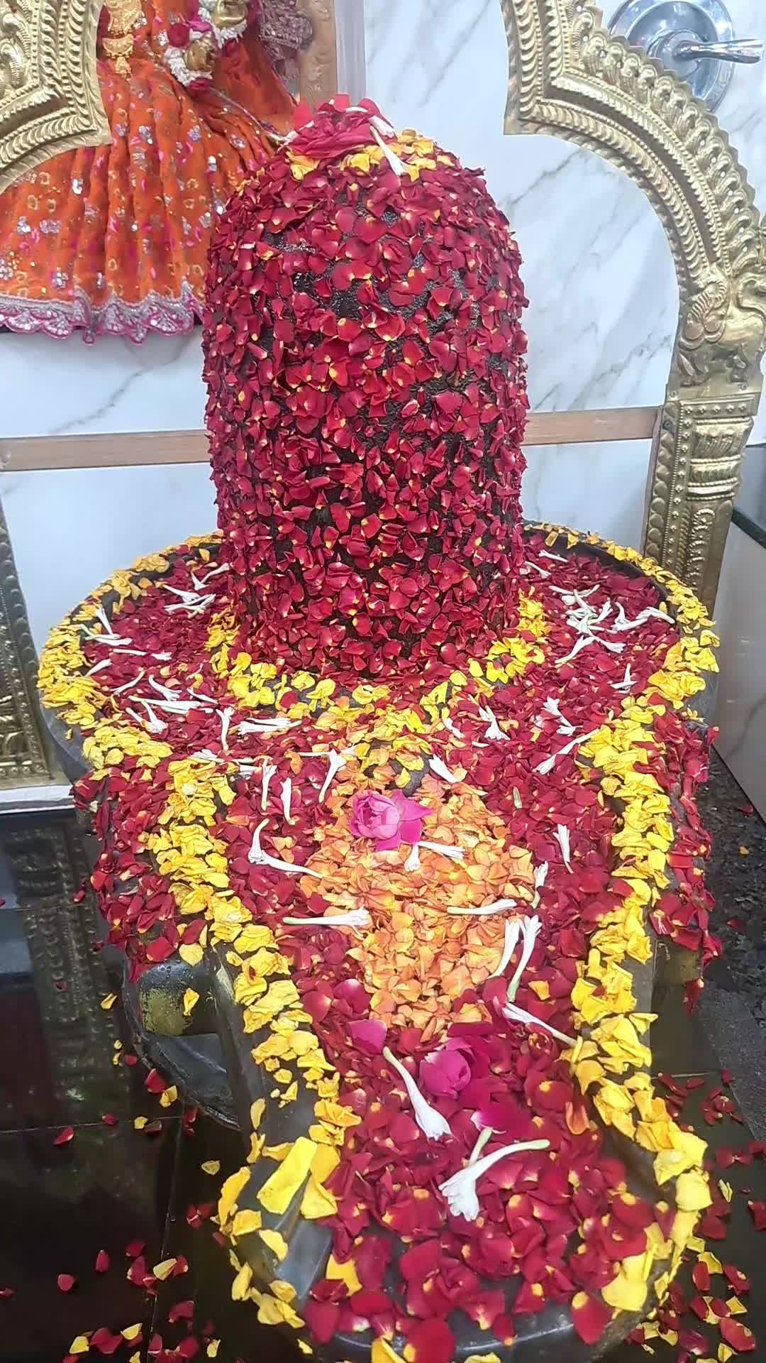 @Vikas Sharma