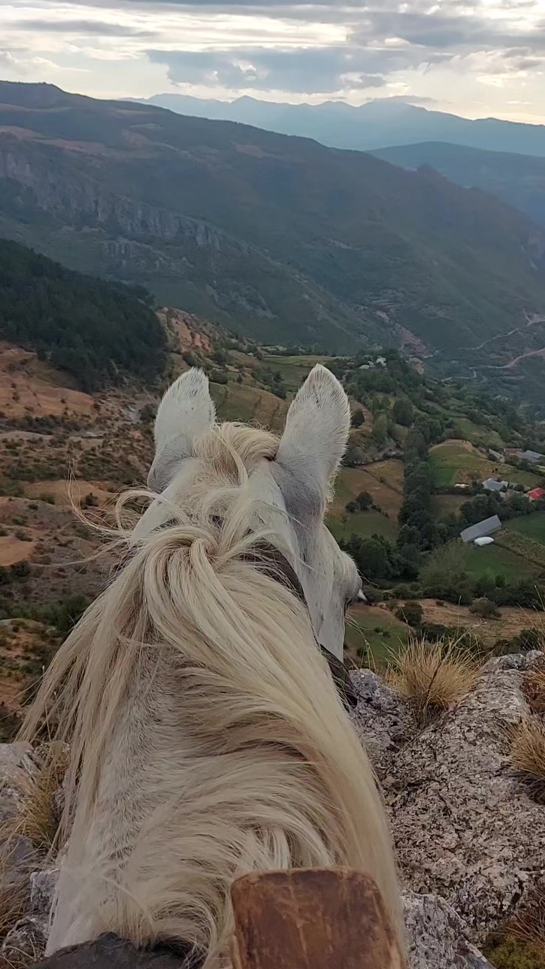 @Fshati_fshat😍