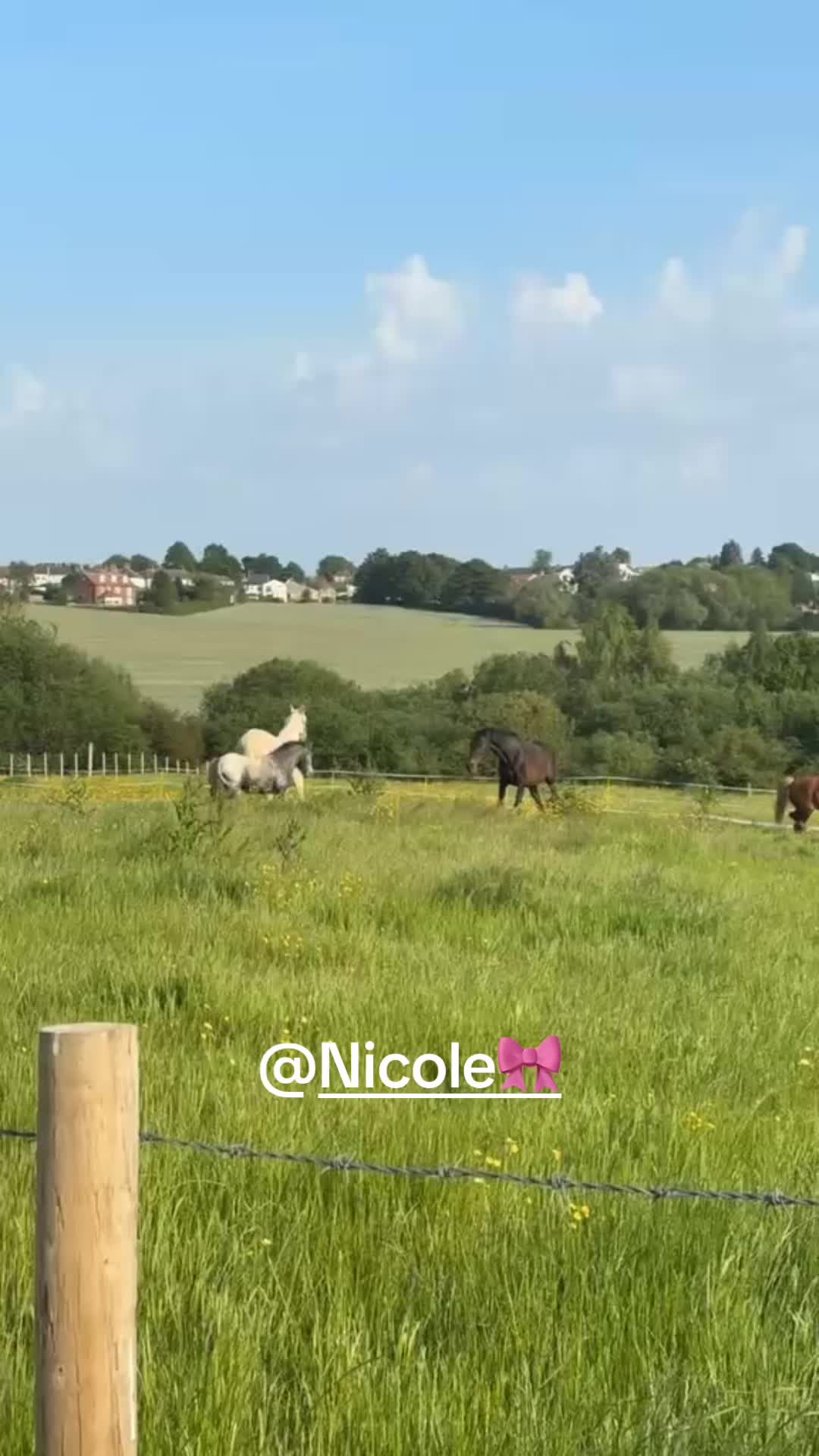 @Joanne.younger